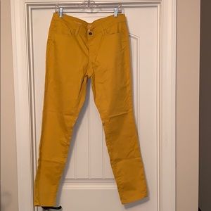 LOFT “Modern Skinny” jeans